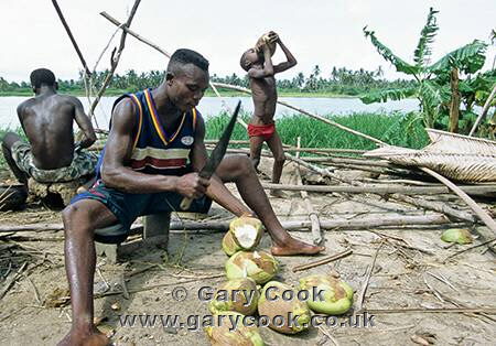 Locals enjoying a coconut, Benin