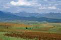 Farmland and Mountains near Malealea, Lesotho