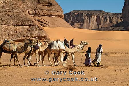 Tuareg camel train, Jebel Acacus, Sahara Desert, Libya