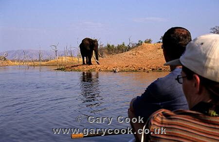 Watching an Elephant from canoe, Matusandona National Park, Lake Kariba, Zimbabwe