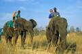 Tourists riding elephants, Antelope Park, Gweru, Zimbabwe